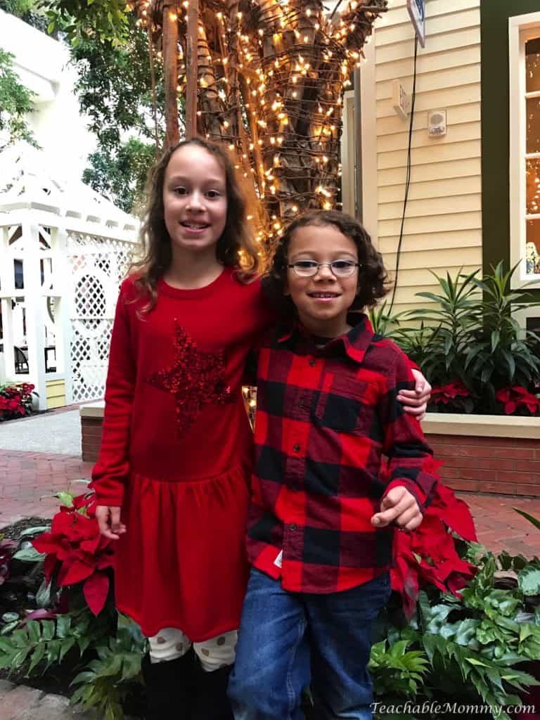 Gaylord National Christmas on the Potomac