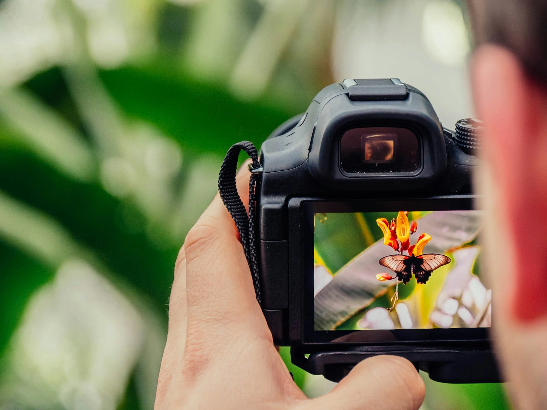 Getty Images To Merge With Rival Shutterstock To Create A $3.7 Billion Company