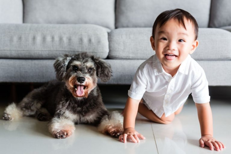 dog and small kid