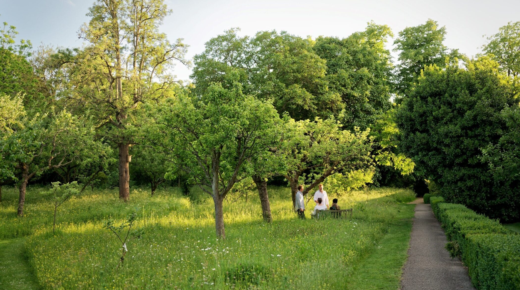 Group of students sat below apple trees