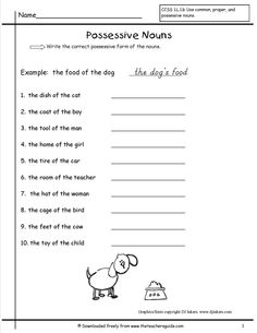 16 Possessive Noun Worksheets 4 6 / worksheeto.com