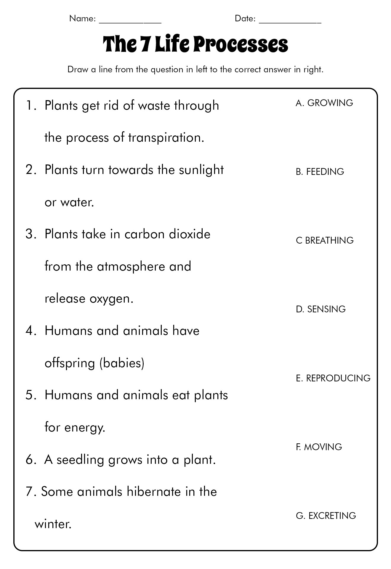 7th Grade Life Science Worksheets