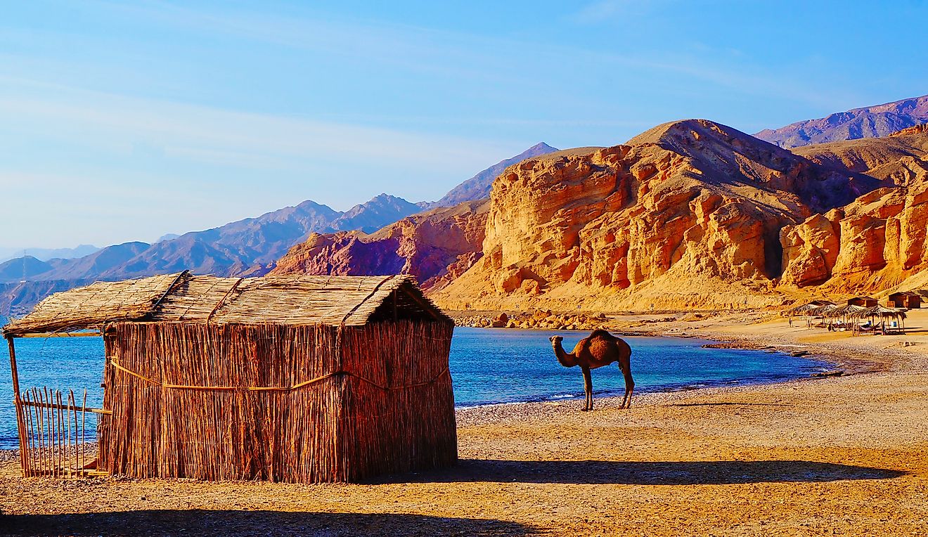 Beautiful sandy beach in Sinai Peninsula, where desert meets Red Sea, near Nuweba, Egypt, Middle East.