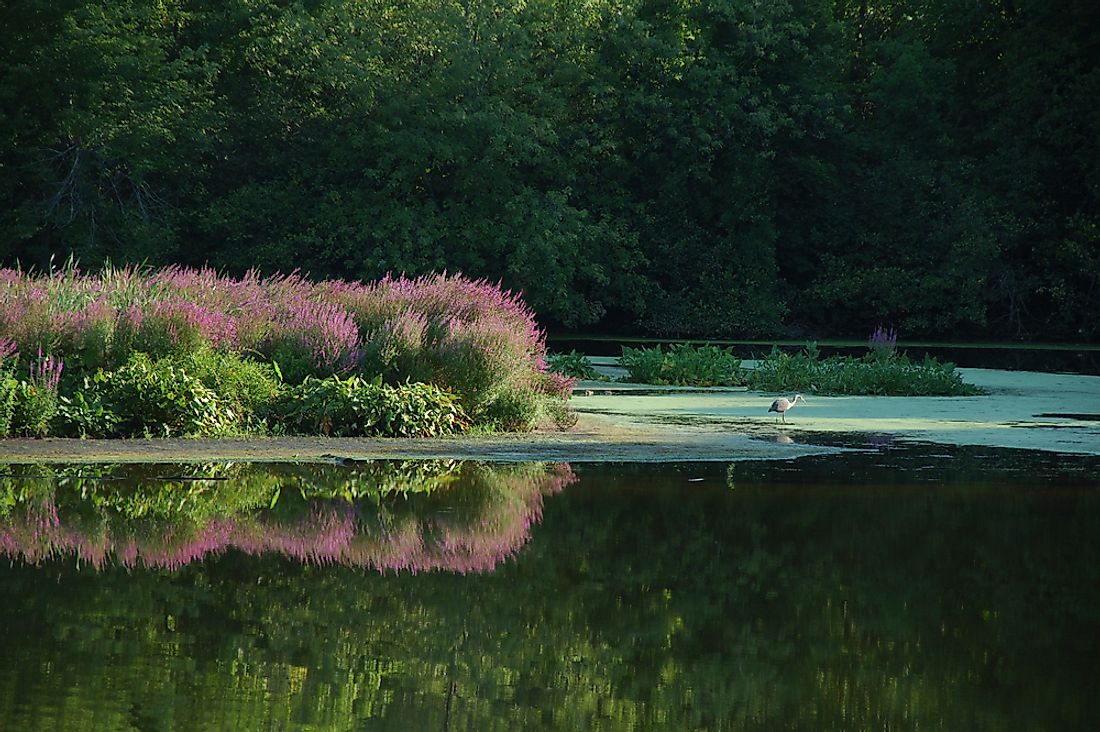 The Blackstone River in Rhode Island. 