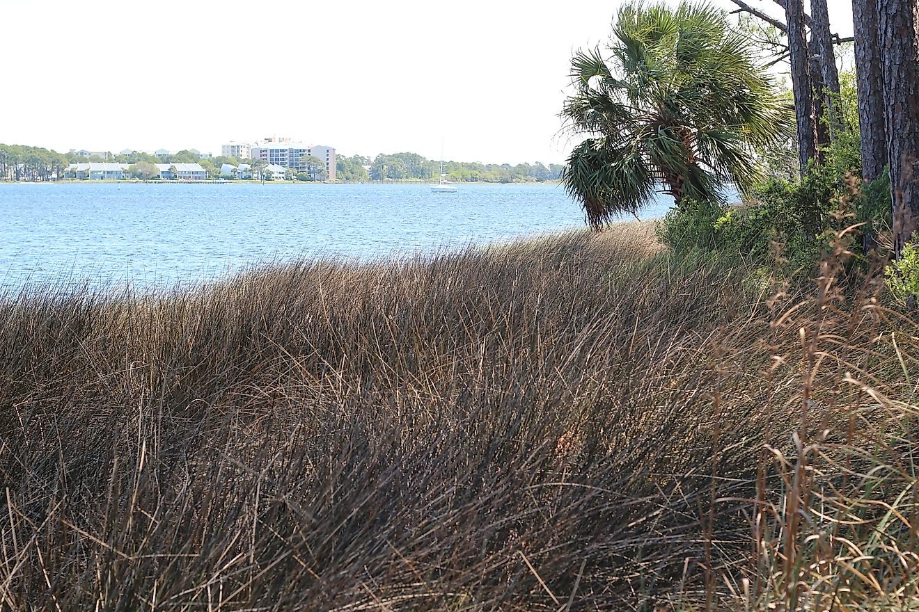 St. Andrews State Park in Panama City Beach. By Scott Long, CC BY 3.0, https://commons.wikimedia.org/w/index.php?curid=53425993