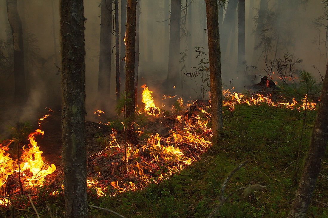 A wildfire burns across the Siberian taiga in 2013. In 2003, this remote area of Siberia was the site of the largest forest fire of all times in terms of acres burned.