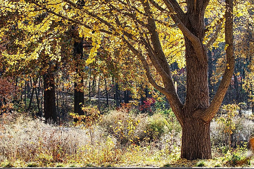 Shawnee Mission Park