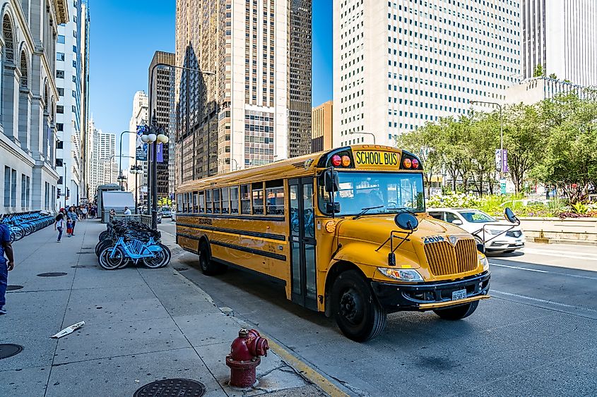 Yellow school bus in Chicago, Illinois. Image Credit Alex Cimbal via Shutterstock.