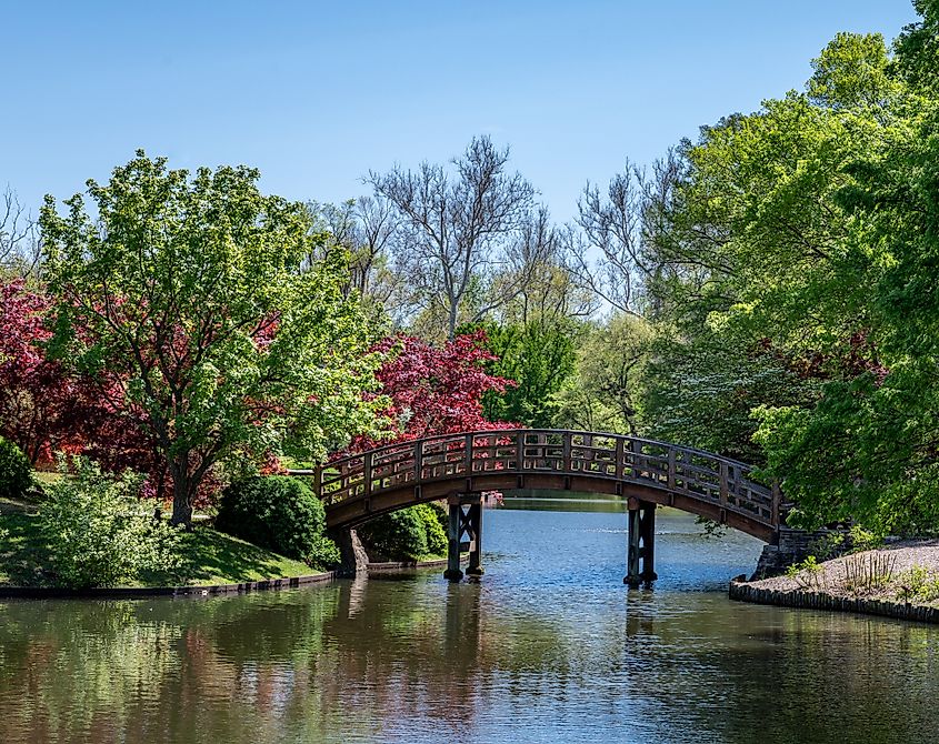 Pedestrian Bridge in Japanese Garden in Missouri Botanical Garden in St. Louis in Springtime.