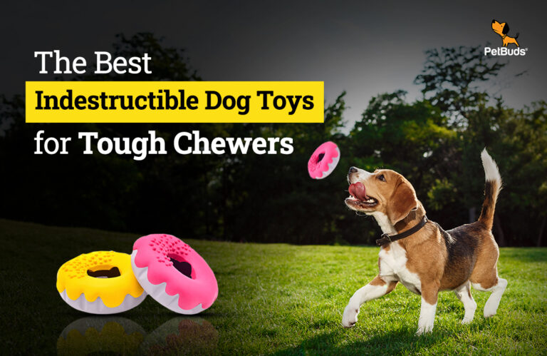 The Best Indestructible Dog Toys for Tough Chewers