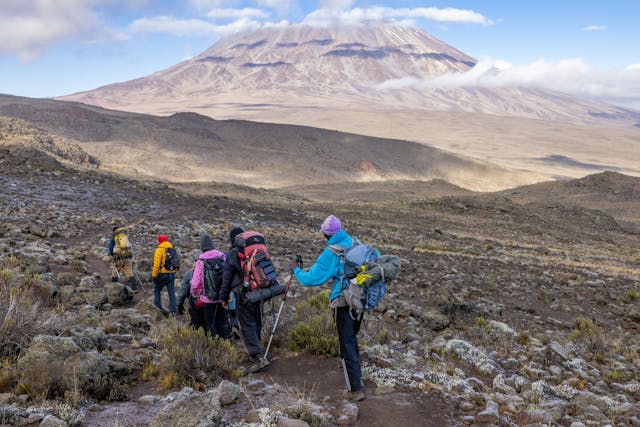 Kilimanjaro