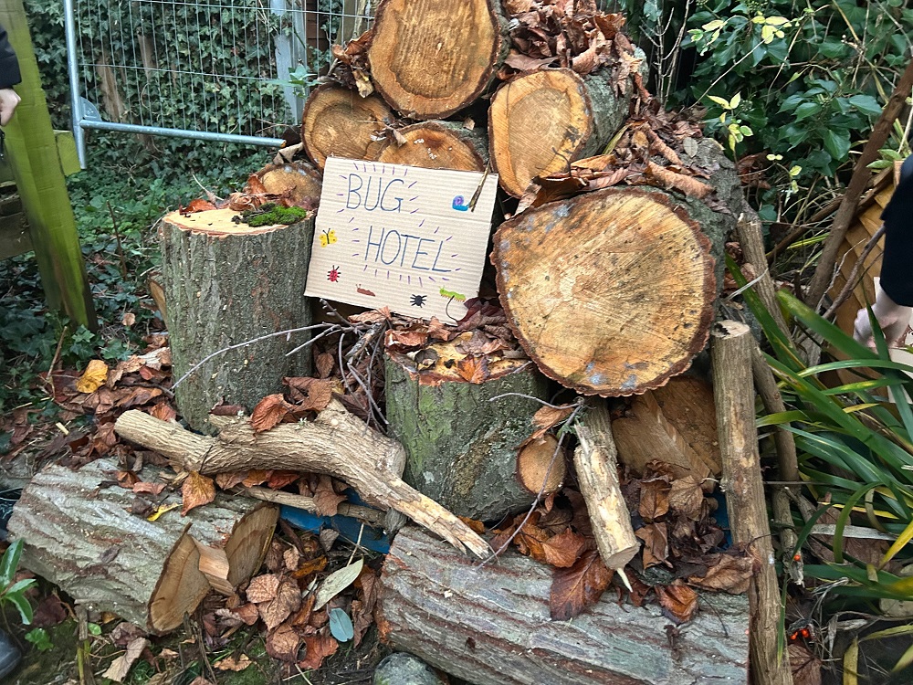 bug hotel