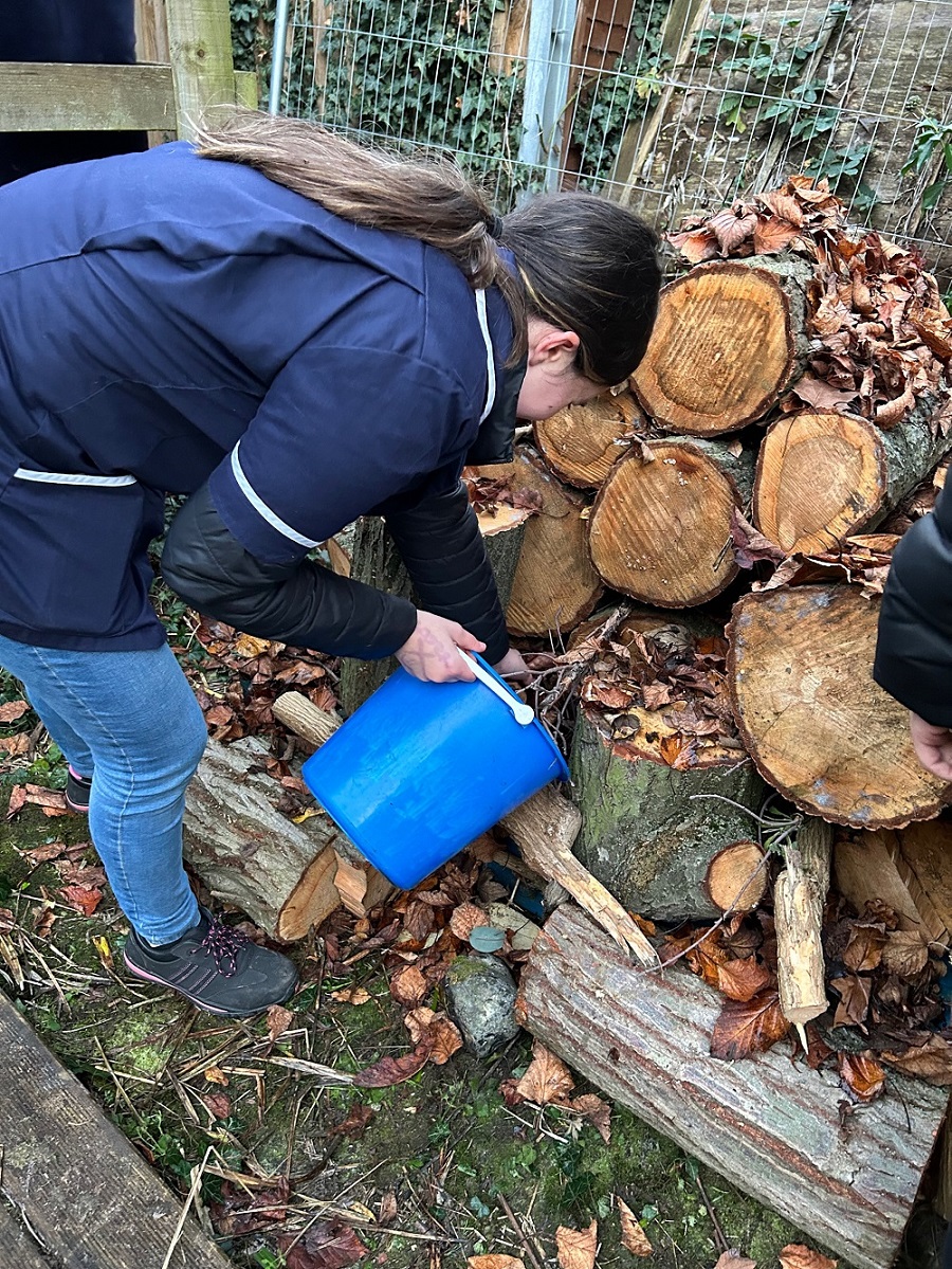 bug hotel