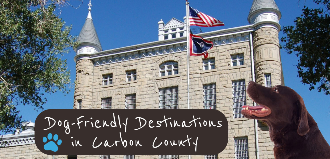 Dog Friendly Destinations carbon county wy