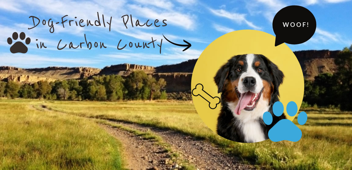 Dog-Friendly Places Guide, Carbon County