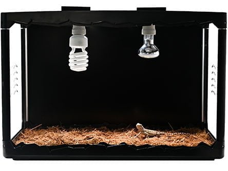 Collapsible Reptile Terrarium 24 Gallon