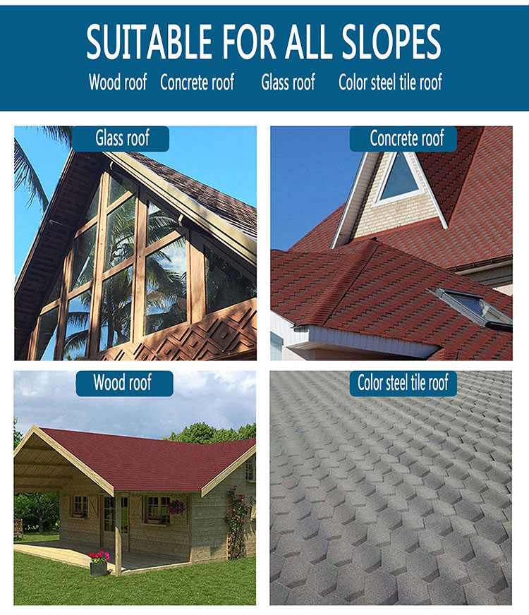 asphalt shingle