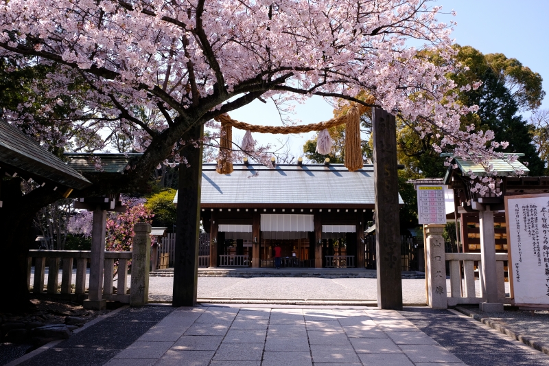 Strolling Through Yokohama’s Historic Shrines and Temples