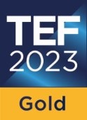 Teaching Excellence Framework Gold Award