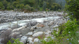 merced river