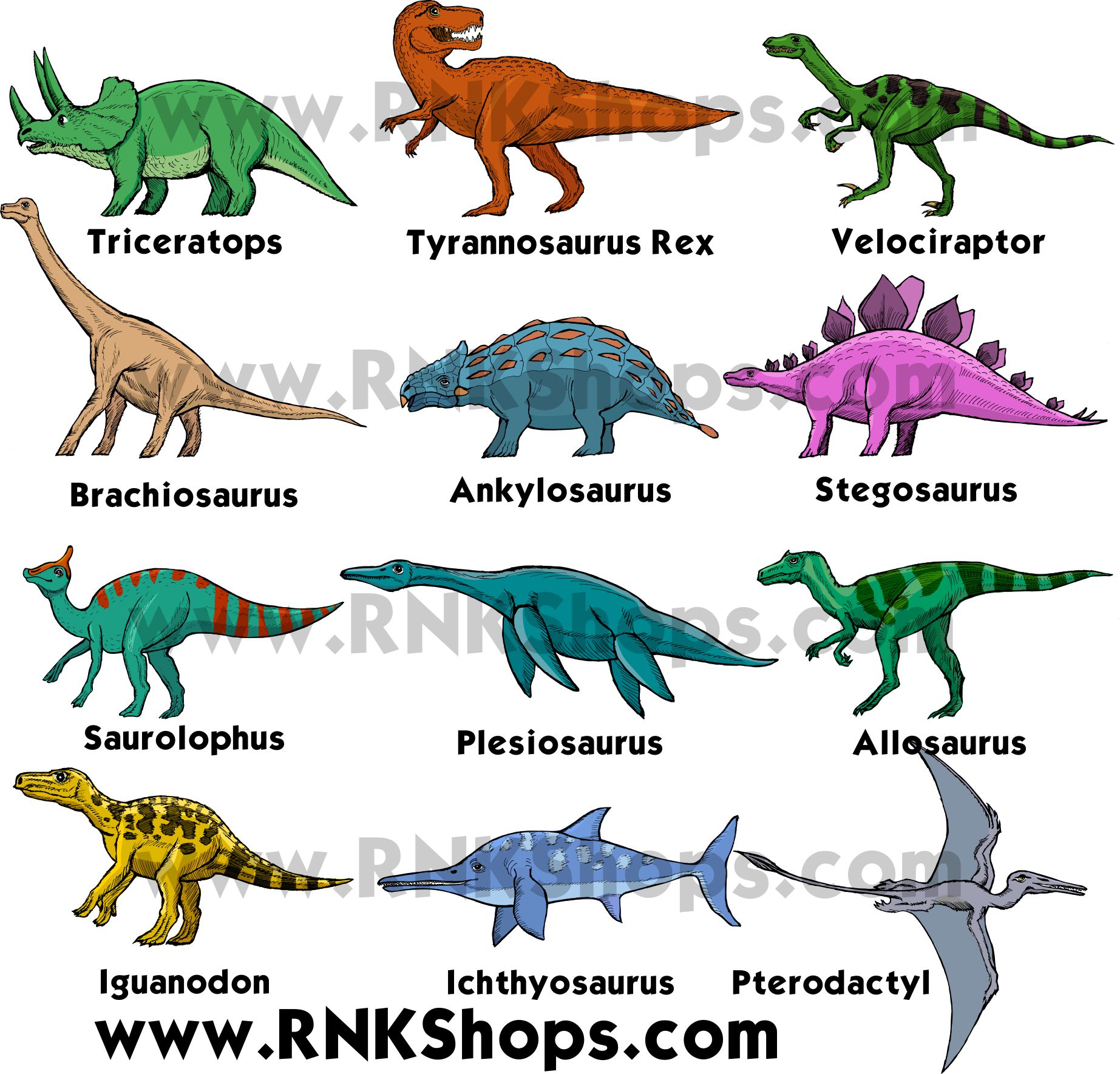 Types of dinosaurs - neloclimate