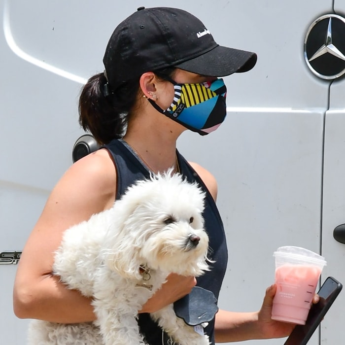 Lucy Hale adopted her Maltipoo dog Elvis in June 2016