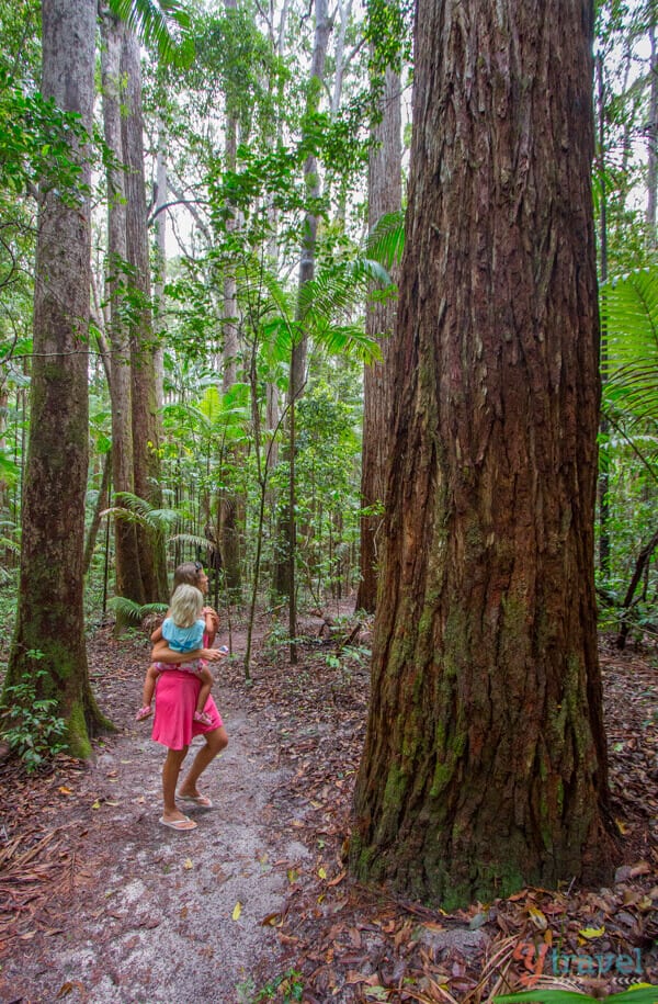 woman holding child beside tree in Rainforest