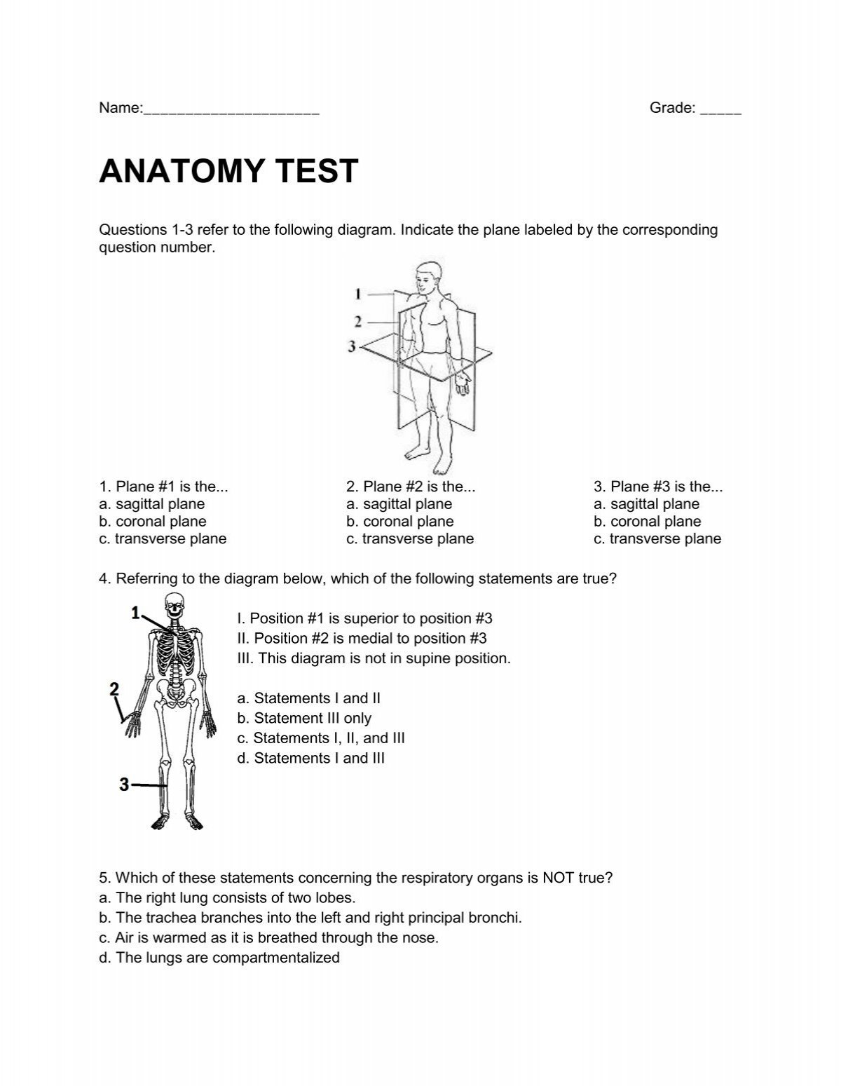 ANATOMY TEST