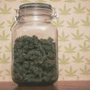 Storing Cannabis for Long Periods of Time