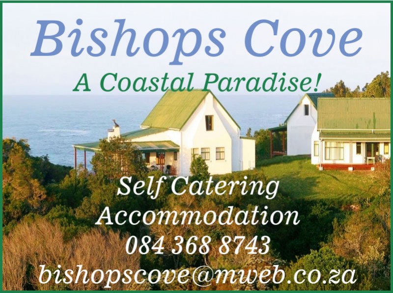 Bishop's Cove