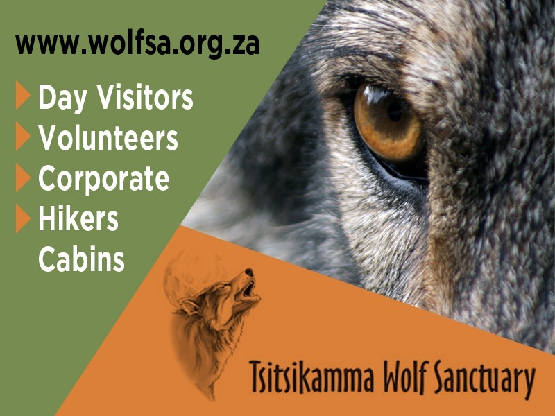 Tsitsikamma Wolf Sanctuary