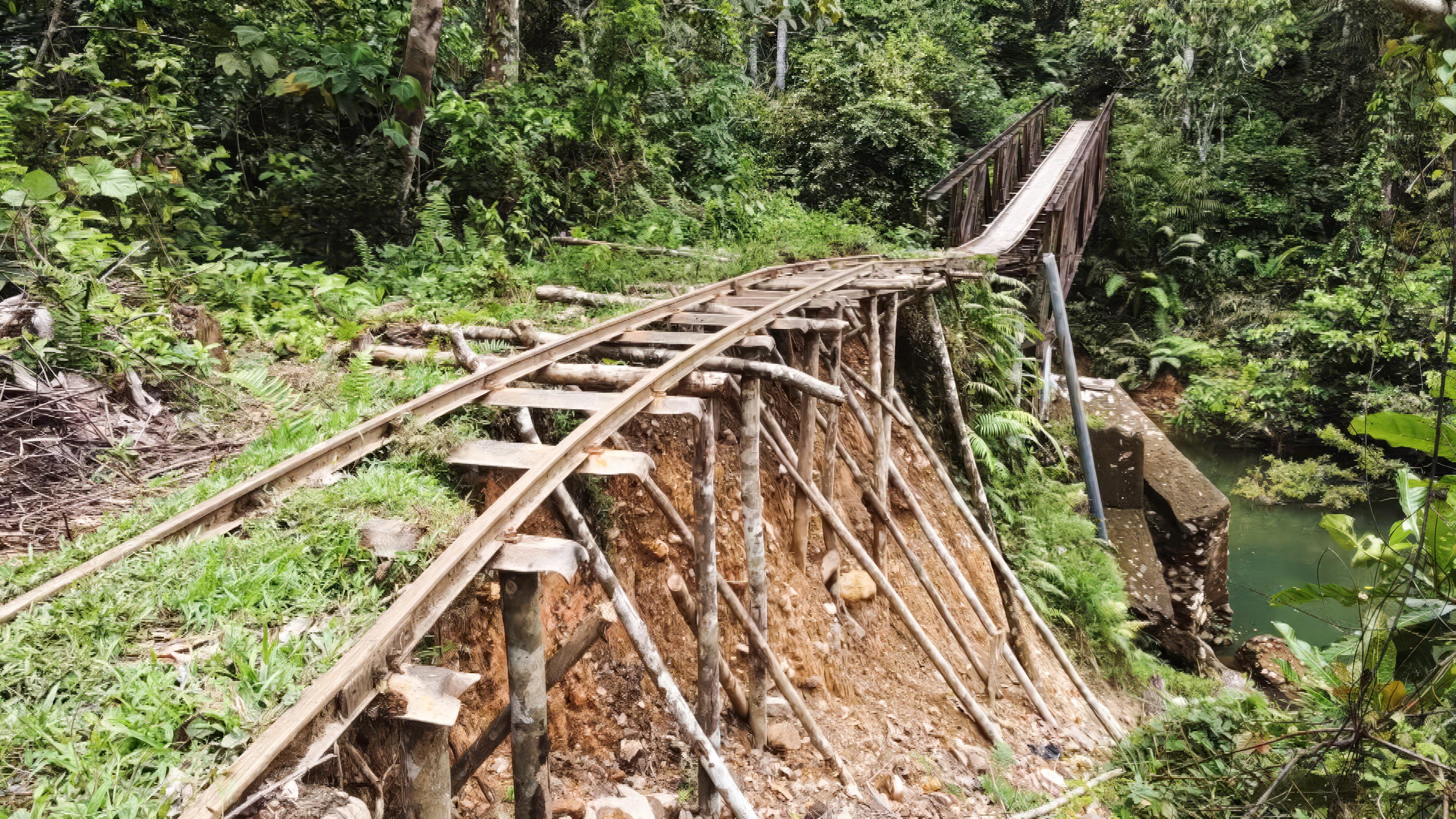 Schienen führen zu einer Brücke inmitten eines bewaldeten Gebiets.