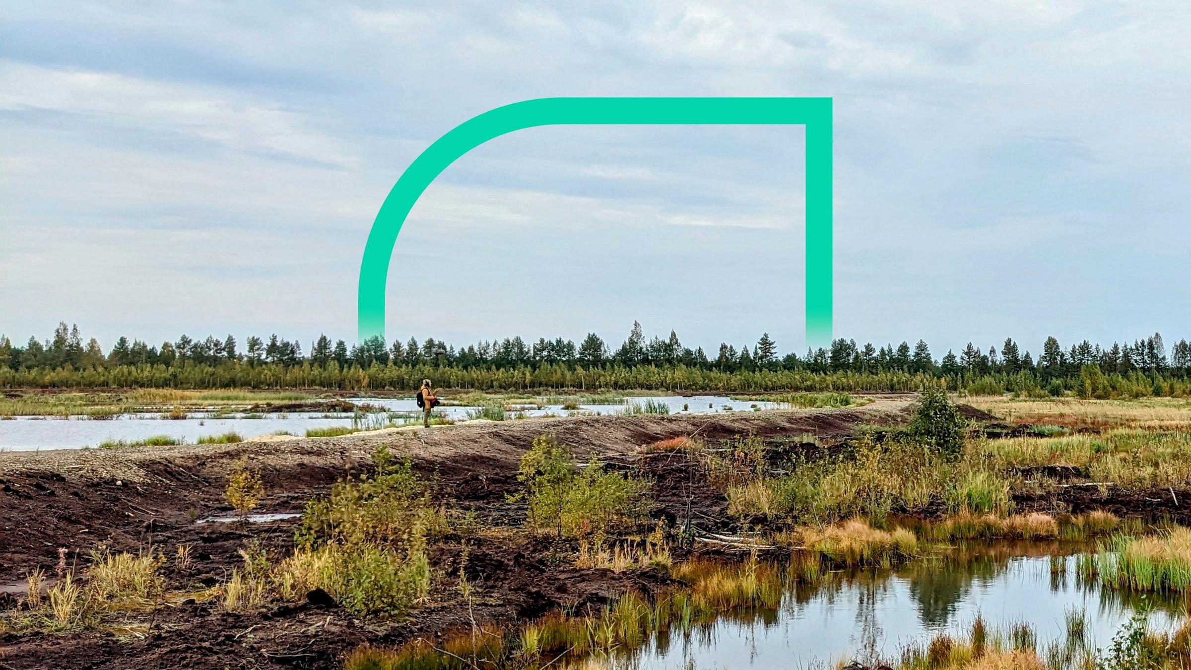 Eine Person mit Rucksack steht inmitten einer Moor-Landschaft