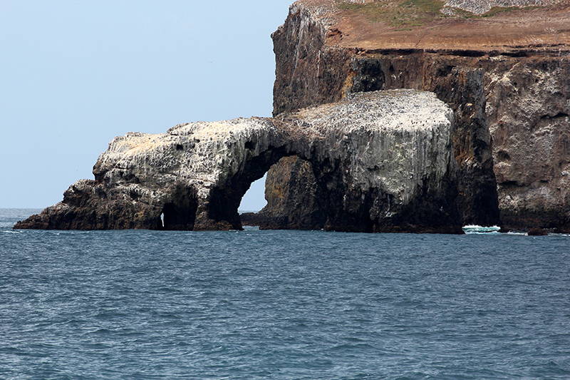 Arch Rock aka. Cabrillo Arch [Anacapa Island - Channel Islands National Park]