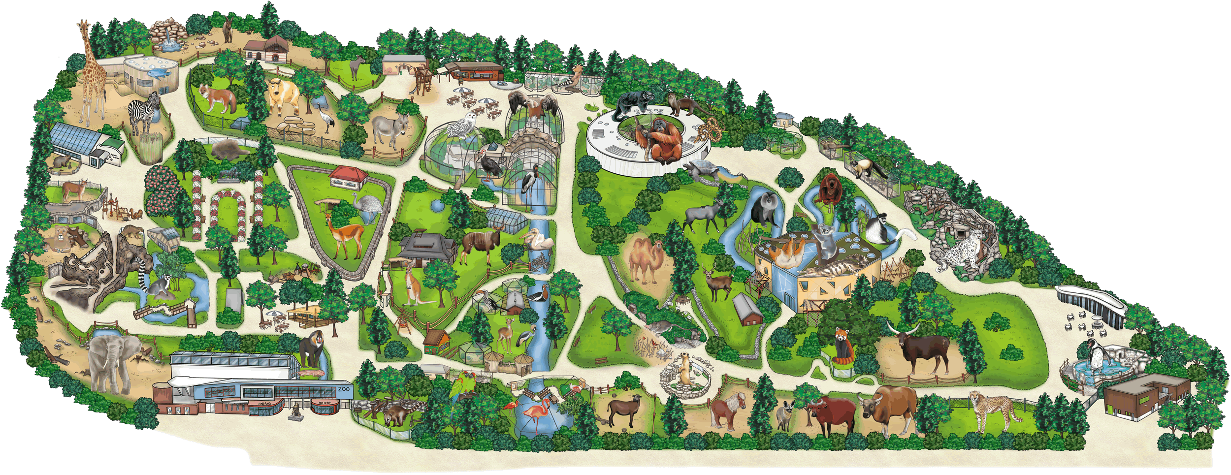 Zoo tour map