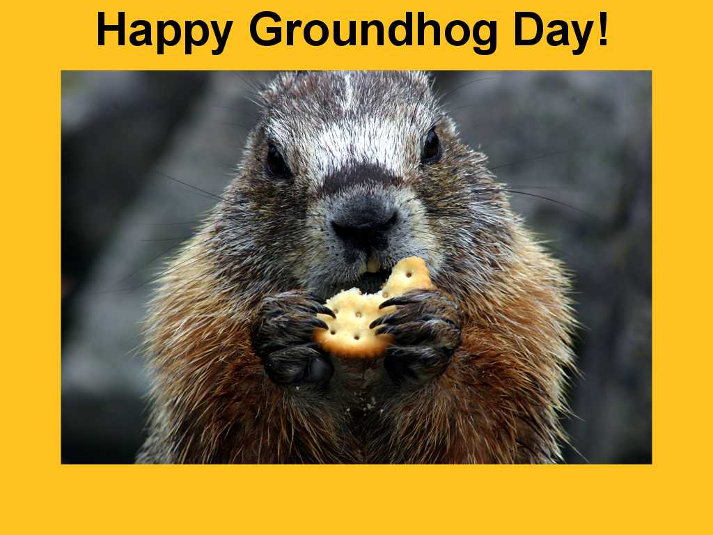 Groundhog Day for Canada - published by Utat on day 2,266 - page 1 of 1