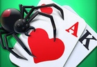 Spider Solitaire 2 Suits