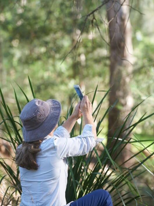 Woman in native forest crouched down taking a picture on her iphone