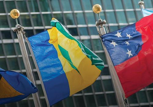 Flags at the UN