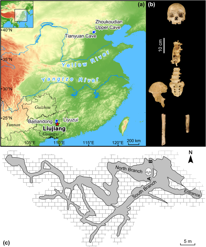 New Late Pleistocene age for the Homo sapiens skeleton from Liujiang ...