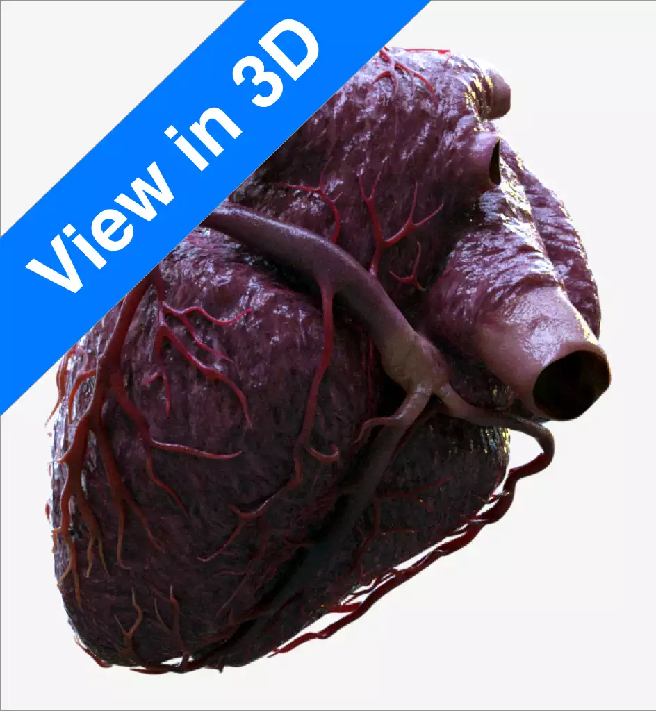 View in 3D App