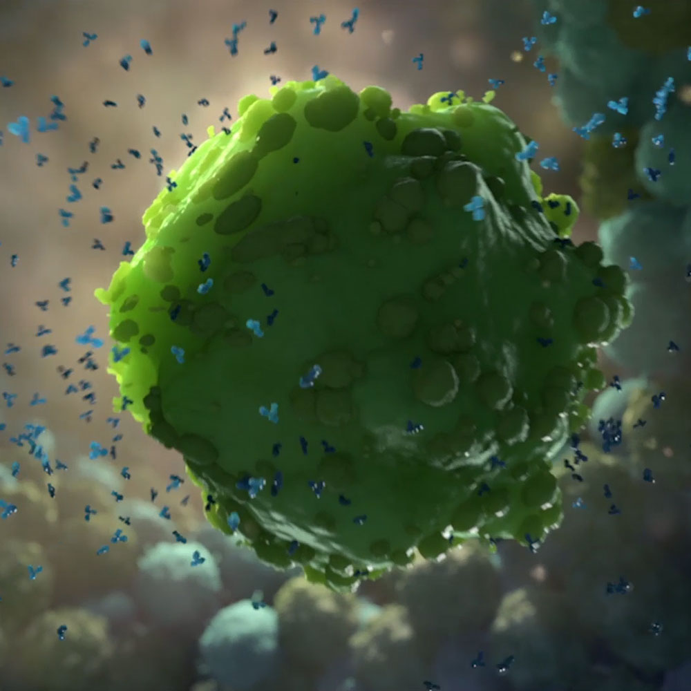 HOW DO ANTIBODIES WORK?