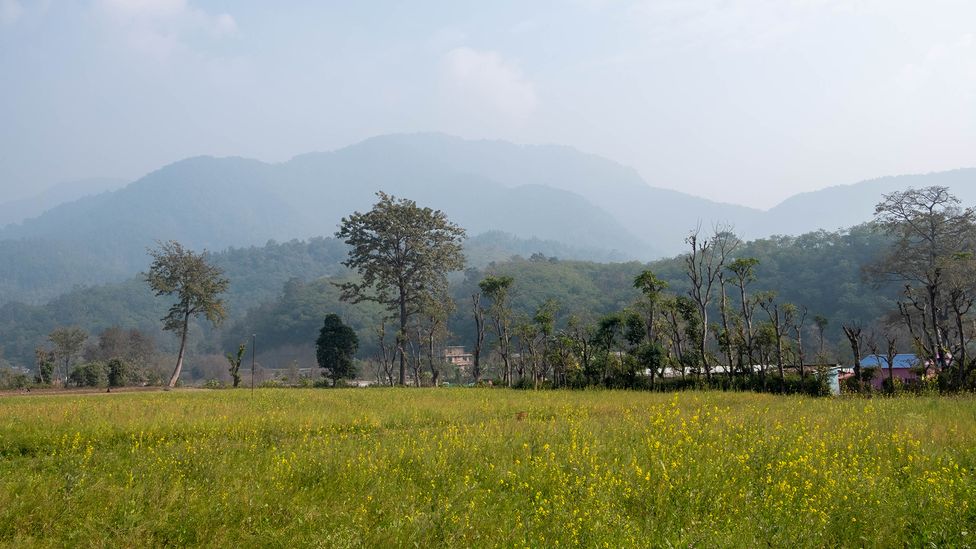 Once nomadic, most Kusunda today live in the Dang district of west Nepal (Credit: Eileen McDougall)