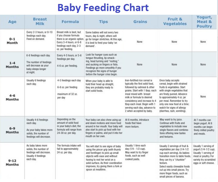 Baby Formula Feeding Chart By Month | Labb by AG