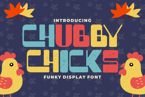 Chubby Chicks - Funky Display Font - Bubble font