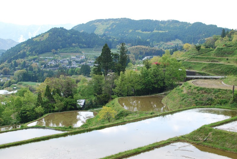 【全国大会日本一！】高知県本山町の天空の棚田米 Motoyama, terraced rice fields