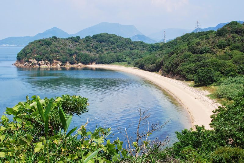 島民10人・牛500頭の牛の島『小豊島（おでしま）』 – Odeshima island, beef cattle ranch island