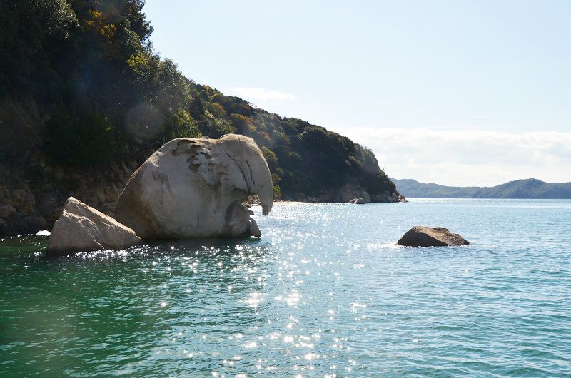 六口島の国指定天然記念物「象岩」　Elephant rock at Muguchi-jima island