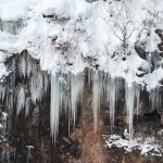 氷雪の世界に宿る色を探して。岩手県西和賀町