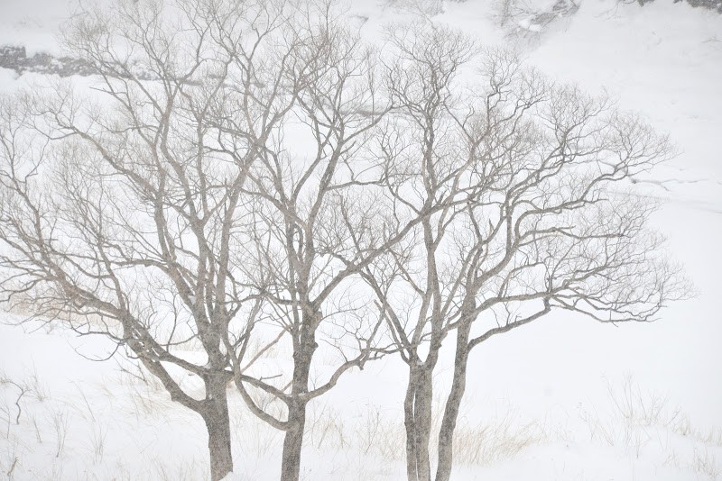 白銀の錦秋湖。岩手県西和賀町 – Lake Kinshu in the silvery white. Nishiwaga Town, Iwate Prefecture.